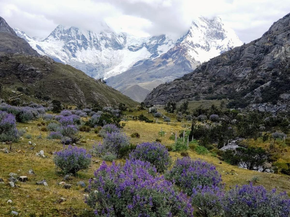Lhotse Hostel B&B Huaraz  Eksteriør bilde